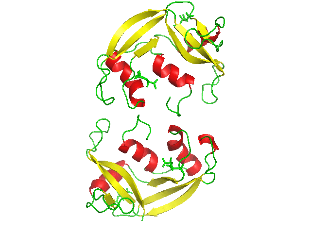 protein bioavailability